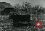 Standbild Probleme der Nachkriegszeit in Europa Europa, 1948, aus Sekunde 56 historischem Filmmaterial Videoclip 65675050560