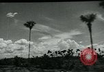 Immagine di I francesi collaborano con i giapponesi in Indocina Hanoi Indocina, 1940, secondo 12 filmato di repertorio 65675050567