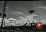 Immagine di I francesi collaborano con i giapponesi in Indocina Hanoi Indocina, 1940, secondo 13 filmato di repertorio 65675050567