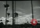 Immagine di I francesi collaborano con i giapponesi in Indocina Hanoi Indocina, 1940, secondo 14 filmato di repertorio 65675050567