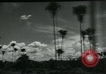 Immagine di I francesi collaborano con i giapponesi in Indocina Hanoi Indocina, 1940, secondo 15 filmato di repertorio 65675050567