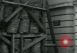 Immagine di I francesi collaborano con i giapponesi in Indocina Hanoi Indocina, 1940, secondo 57 filmato di repertorio 65675050567