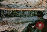 Image of 1940s harvesting natural resources in America United States USA, 1947, second 27 stock footage video 65675050573
