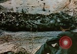 Image of 1940s harvesting natural resources in America United States USA, 1947, second 28 stock footage video 65675050573