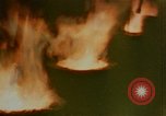 Image of 1940s harvesting natural resources in America United States USA, 1947, second 49 stock footage video 65675050573