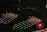 Image of 1940s harvesting natural resources in America United States USA, 1947, second 52 stock footage video 65675050573