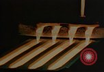 Image of 1940s harvesting natural resources in America United States USA, 1947, second 54 stock footage video 65675050573