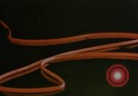 Image of 1940s harvesting natural resources in America United States USA, 1947, second 62 stock footage video 65675050573