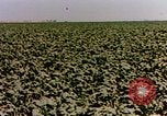 Standbild Industrie in Amerika bald nach Zweiten Weltkrieg United States USA, 1947, aus Sekunde 46 historischem Filmmaterial Videoclip 65675050574