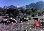 Image of cities Algeria, 1963, second 54 stock footage video 65675050583