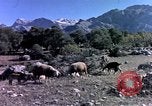 Image of cities Algeria, 1963, second 55 stock footage video 65675050583