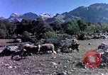 Image of cities Algeria, 1963, second 56 stock footage video 65675050583