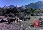 Image of cities Algeria, 1963, second 57 stock footage video 65675050583