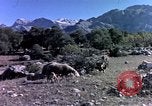 Image of cities Algeria, 1963, second 58 stock footage video 65675050583