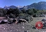 Image of cities Algeria, 1963, second 59 stock footage video 65675050583
