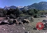 Image of cities Algeria, 1963, second 60 stock footage video 65675050583