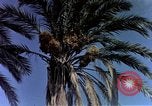 Image of Algeria after independence Algeria, 1963, second 11 stock footage video 65675050584
