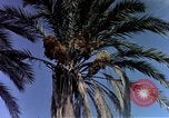 Image of Algeria after independence Algeria, 1963, second 14 stock footage video 65675050584