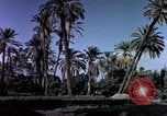 Image of Algeria after independence Algeria, 1963, second 17 stock footage video 65675050584