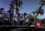 Image of Algeria after independence Algeria, 1963, second 20 stock footage video 65675050584