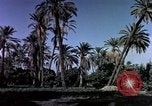Image of Algeria after independence Algeria, 1963, second 22 stock footage video 65675050584