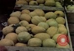 Image of Algeria after independence Algeria, 1963, second 47 stock footage video 65675050584
