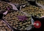Image of Algeria after independence Algeria, 1963, second 49 stock footage video 65675050584