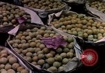Image of Algeria after independence Algeria, 1963, second 50 stock footage video 65675050584