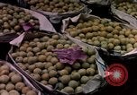 Image of Algeria after independence Algeria, 1963, second 51 stock footage video 65675050584