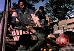Image of Algeria after independence Algeria, 1963, second 53 stock footage video 65675050584