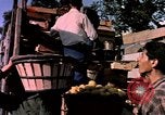 Image of Algeria after independence Algeria, 1963, second 55 stock footage video 65675050584