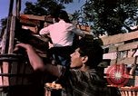 Image of Algeria after independence Algeria, 1963, second 56 stock footage video 65675050584