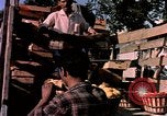 Image of Algeria after independence Algeria, 1963, second 58 stock footage video 65675050584
