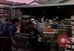 Image of Algeria after independence Algeria, 1963, second 59 stock footage video 65675050584