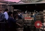 Image of Algeria after independence Algeria, 1963, second 60 stock footage video 65675050584