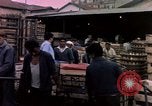 Image of Algeria after independence Algeria, 1963, second 62 stock footage video 65675050584