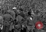 Image des officiers militaires China-Burma-Inde Theatre, 1943, de la seconde 53 séquences d'archives historiques vidéo 65675050599
