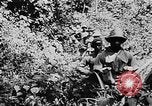 Image of Oliver Lyttleton Kenya, 1954, second 22 stock footage video 65675050603