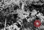 Image of Oliver Lyttleton Kenya, 1954, second 24 stock footage video 65675050603