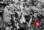 Image of Oliver Lyttleton Kenya, 1954, second 27 stock footage video 65675050603
