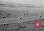 Image of United States Marines Camp Pendleton California USA, 1951, second 27 stock footage video 65675050612