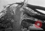 Image of tornado Minnesota United States USA, 1951, second 5 stock footage video 65675050614