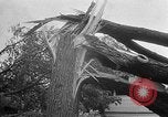 Image of tornado Minnesota United States USA, 1951, second 6 stock footage video 65675050614