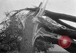 Image of tornado Minnesota United States USA, 1951, second 7 stock footage video 65675050614
