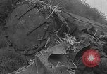 Image of train collision Austria, 1951, second 10 stock footage video 65675050620