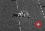 Image of Notre Dame Fighting Irish South Bend Indiana USA, 1951, second 55 stock footage video 65675050624
