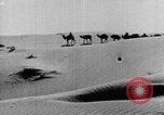 Image of caravan caught in a sand storm in desert of Saudi Arabia Saudi Arabia, 1936, second 29 stock footage video 65675050625