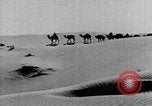 Image of caravan caught in a sand storm in desert of Saudi Arabia Saudi Arabia, 1936, second 31 stock footage video 65675050625