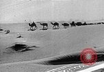 Image of caravan caught in a sand storm in desert of Saudi Arabia Saudi Arabia, 1936, second 32 stock footage video 65675050625