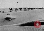 Image of caravan caught in a sand storm in desert of Saudi Arabia Saudi Arabia, 1936, second 33 stock footage video 65675050625